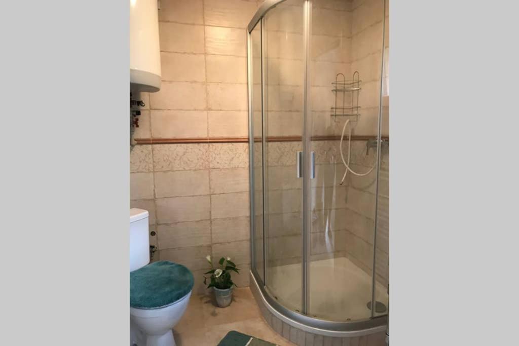 Celý Dům Flora V českosaském švýcarsku Apartmán Janov