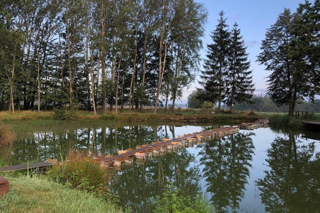 Celý Dům Flora V českosaském švýcarsku